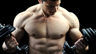 4-reasons-youre-not-gaining-muscle