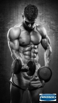 muscle-buildup
